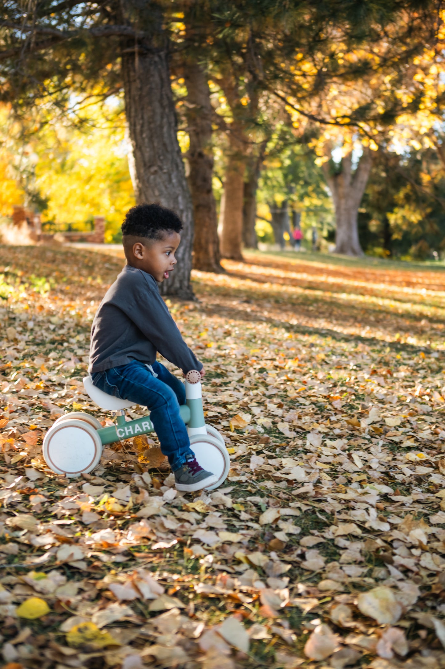 MiniBike for Toddlers